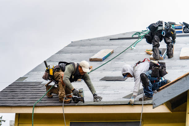Professional Gutter Installation technician working in Chandler, MN